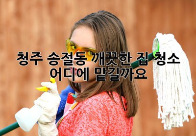 청주 송절동 깨끗한 집 청소, 어디에 맡길까요?
