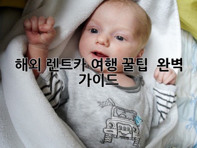 해외 렌트카 여행 꿀팁 🚗💨 완벽 가이드