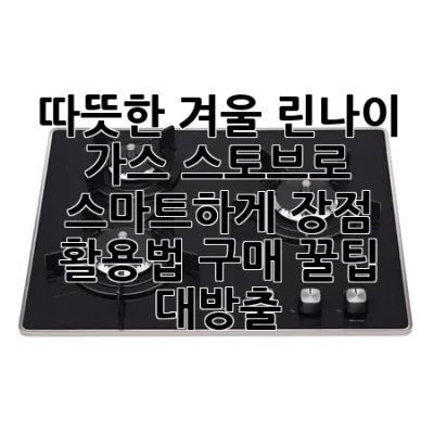 따뜻한 겨울, 린나이 가스 스토브로 스마트하게! 장점, 활용법, 구매 꿀팁 대방출