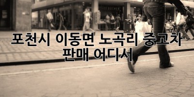 포천시 이동면 노곡리 중고차 판매, 어디서?