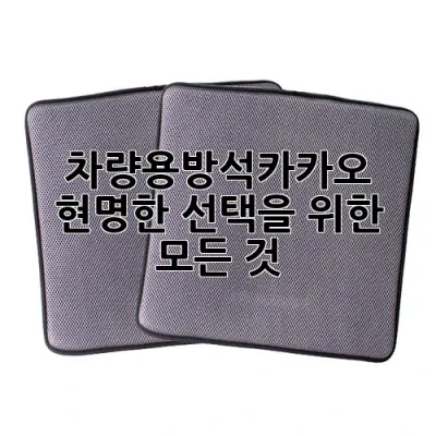 차량용방석카카오, 현명한 선택을 위한 모든 것! 🚗✨