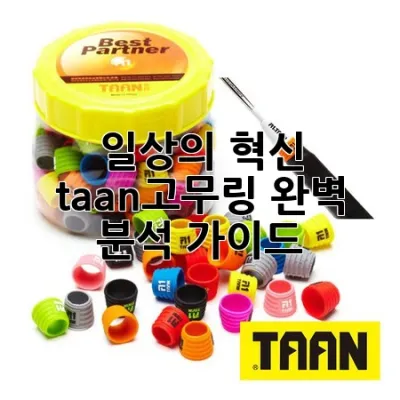 일상의 혁신, taan고무링 완벽 분석 가이드