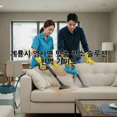 계룡시 엄사면 맞춤 청소 솔루션 ✨ 완벽 가이드