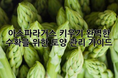 아스파라거스 키우기: 완벽한 수확을 위한 토양 관리 가이드